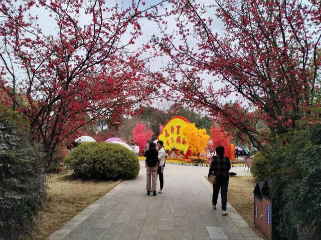 春遊綿州富樂山