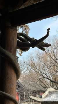 山西古人怕不是真見過龍？啊啊啊