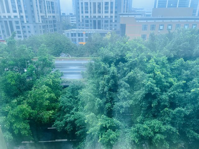 茶文化與旅居的完美結合
