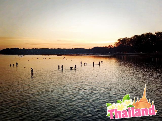 Phuket in Spring: A Tropical Paradise Awakens