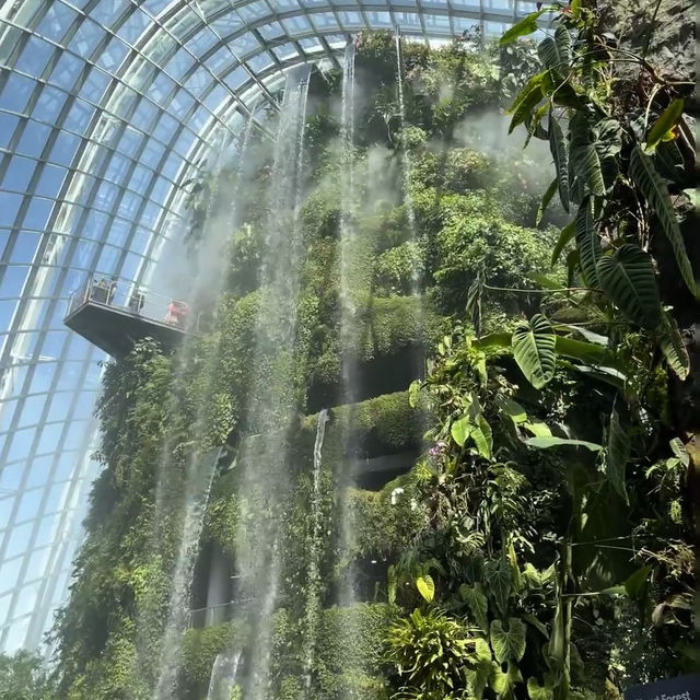 新加坡 🌳濱海灣花園 | 一場心靈的奇幻冒險，解鎖多元魅力