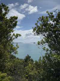 Heaven On Earth At The Coromandel, North Island NZ 