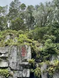 城市與山的對話