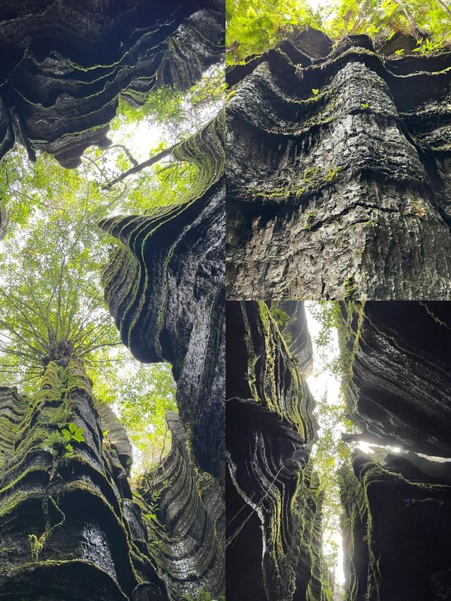 解鎖小眾玩法！石林仲可以咁玩