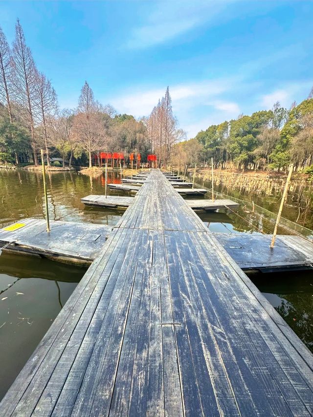 烏篷船、石佛、魯迅筆下小鎮，都在柯岩