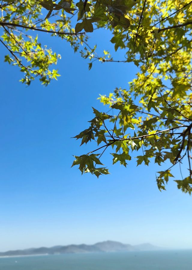 我唔講嘅話，邊個會相信呢度係葫蘆島啊