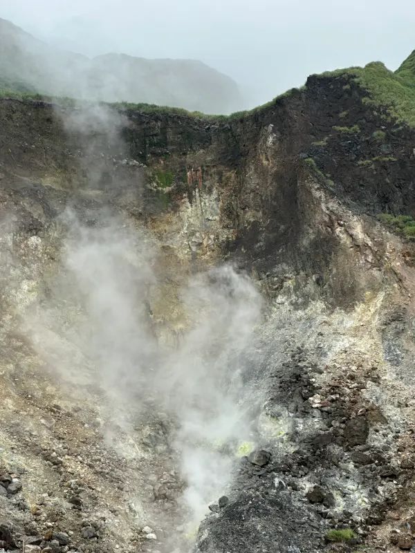 台北陽明山1日遊攻略🌋小油坑/夢幻湖/擎天崗