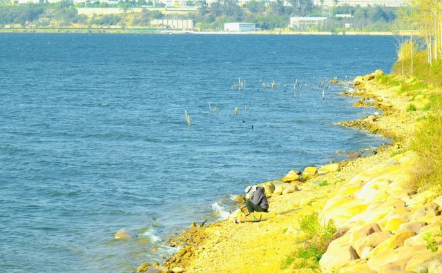 3-4月黃金淡季 來柳樹灣浪費一下時間吧