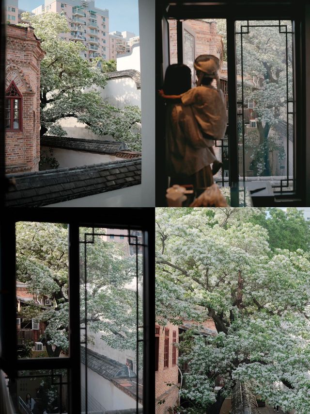 在三坊七巷住到了絕美花景房是什麼體驗！