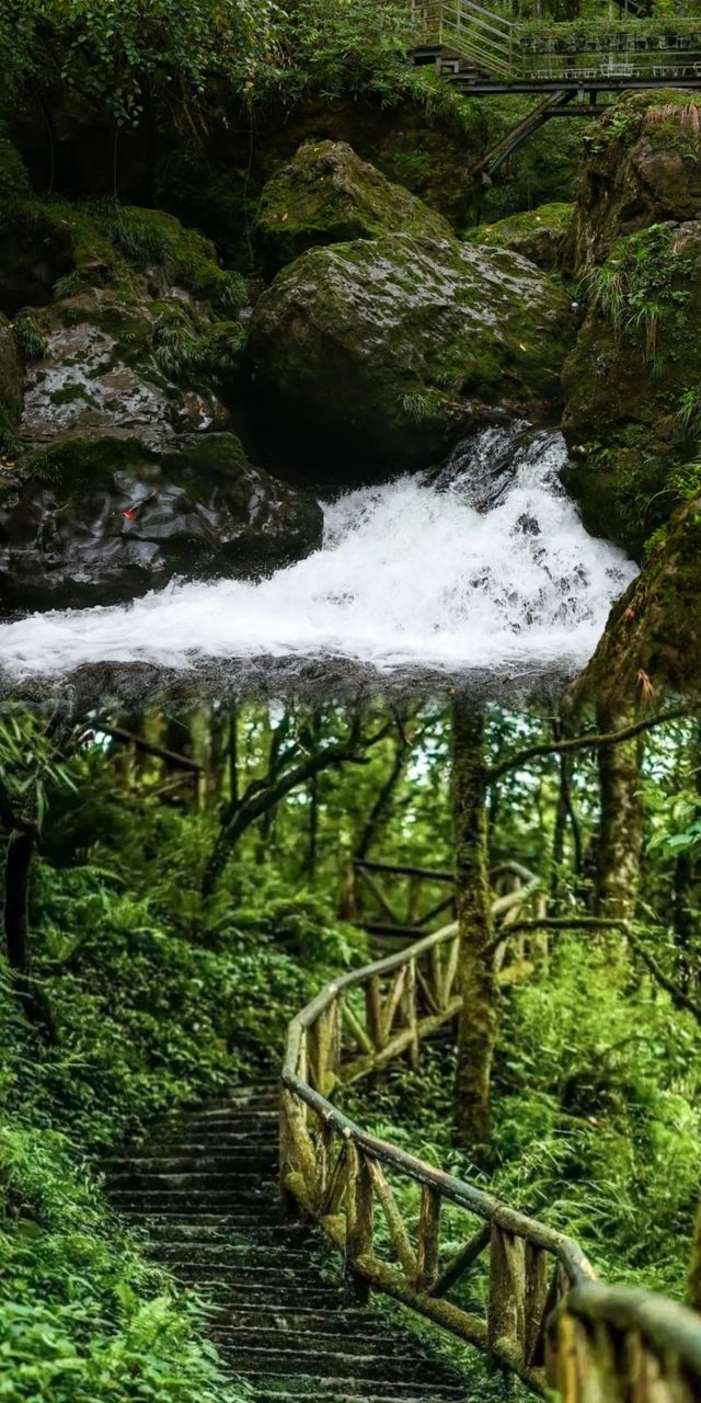 雅安龍蒼溝，不止碧峰峽