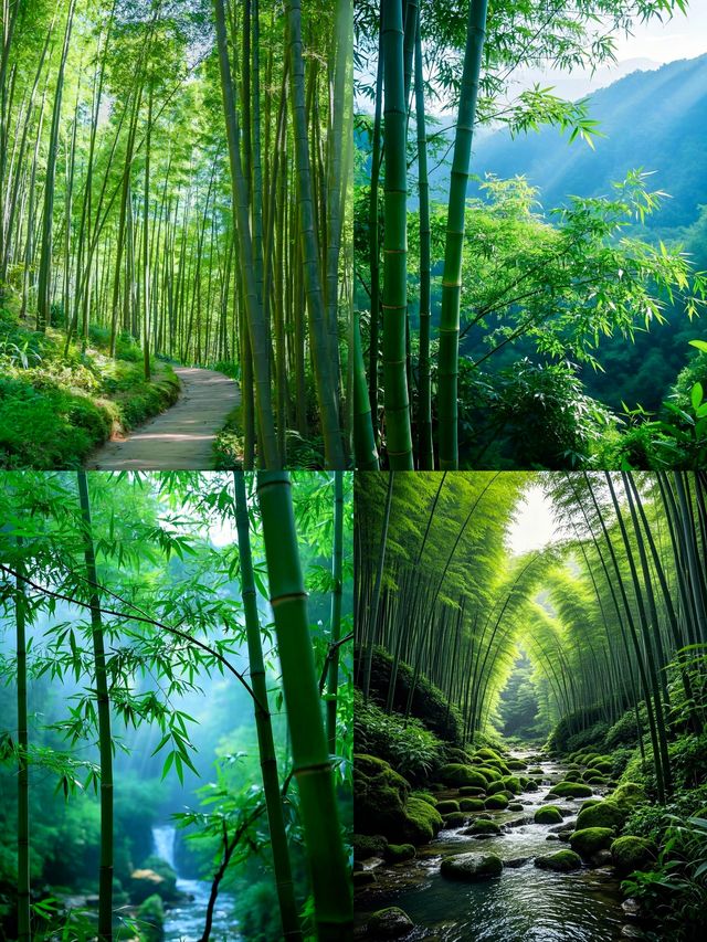 蜀南竹海：被竹林包裹的東方翡翠王國