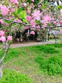 濰坊虞舜公園|闖入現實版粉色童話世界