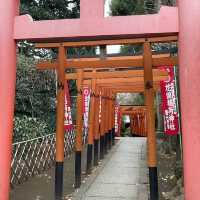 🌸東京上野公園新生｜春日限定的浪漫重啟🌿