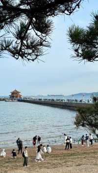 青島三天兩夜，邂逅浪漫海濱之城