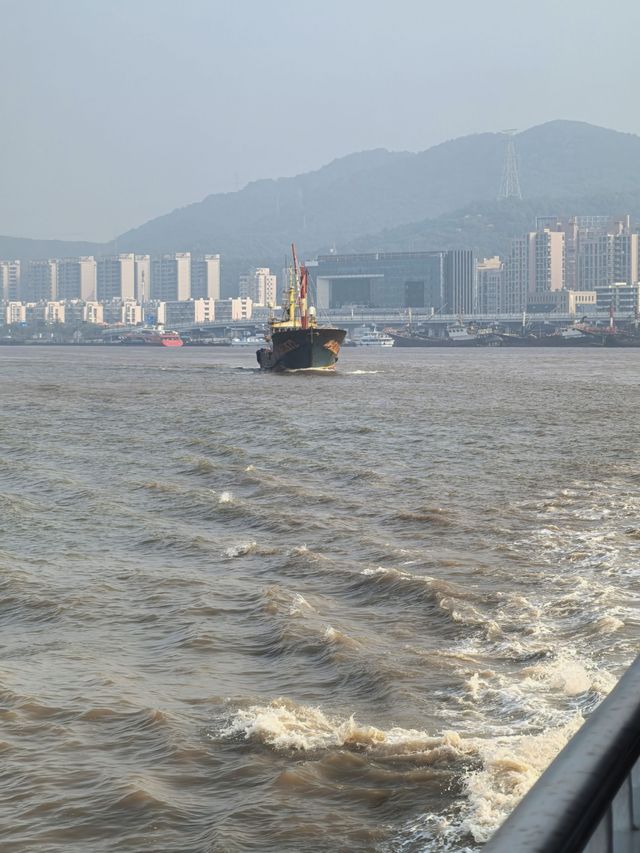 桃花影落，碧海潮生