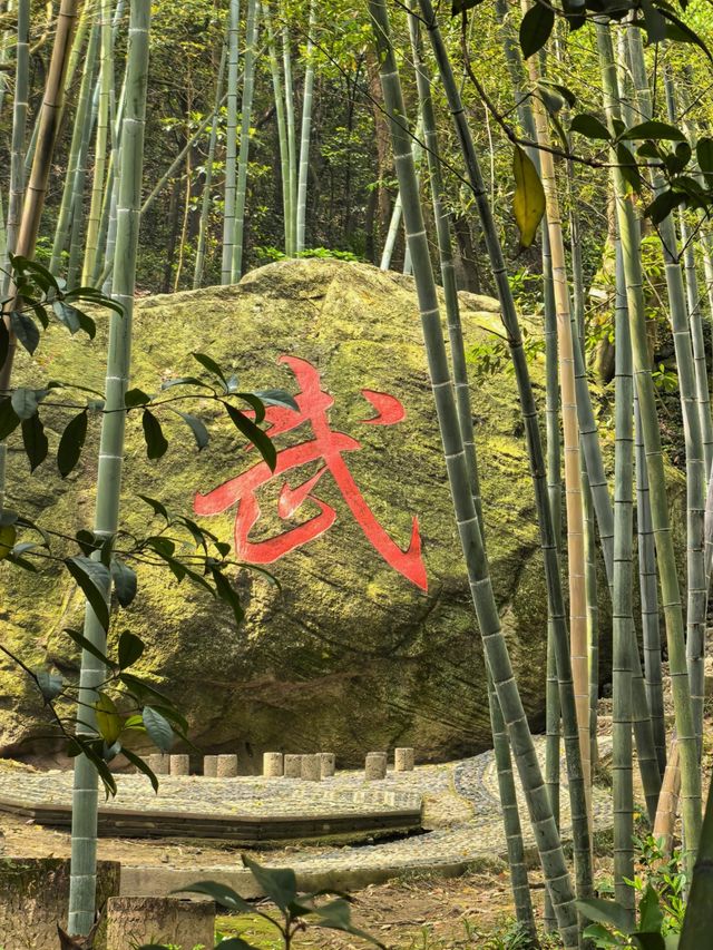 桃花影落，碧海潮生