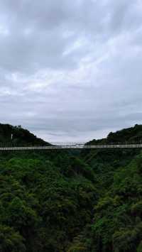 川西竹海|25℃綠意秘境清涼之旅全指南