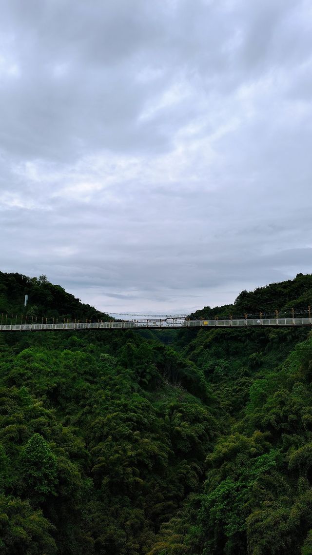 川西竹海|25℃綠意秘境清涼之旅全指南