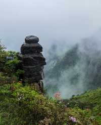 帶吳風楚韻，亭亭玉立於萍實之鄉