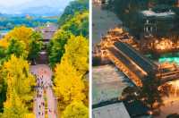 四川成都 ‖‖ 山野之家 - 青城山尊鉑森林酒店