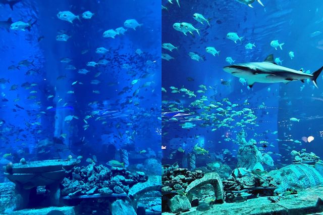三亞亞特蘭蒂斯終極攻略：夢幻海洋之旅