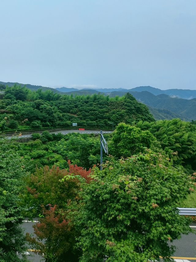 【跟住國家地理去旅行系列之—漕雅線】