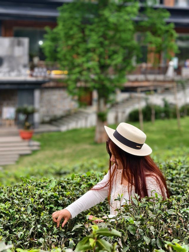 成都周邊避暑遛娃｜住進25°C嘅夏天