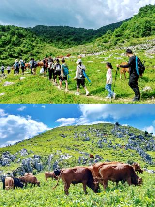 Hiking the Grasslands of Beiyang Mountain, Shaanxi's "Inkstone Park" During Dragon Boat Festival