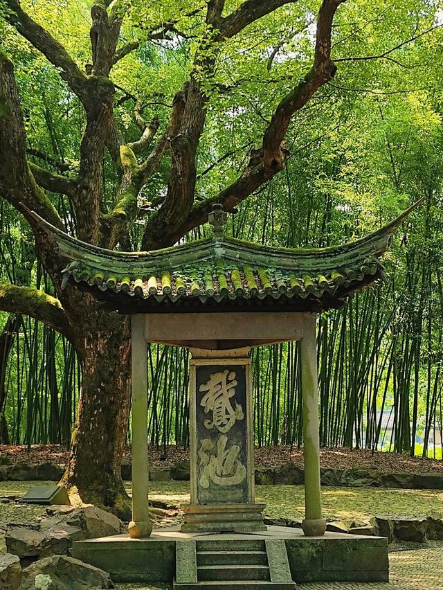 蘭亭之美：一場心靈的邂逅