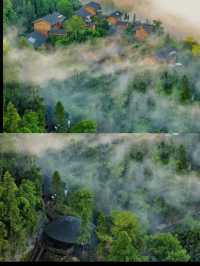 樂山！成都出發1小時！山野樹屋！超適合度假放鬆