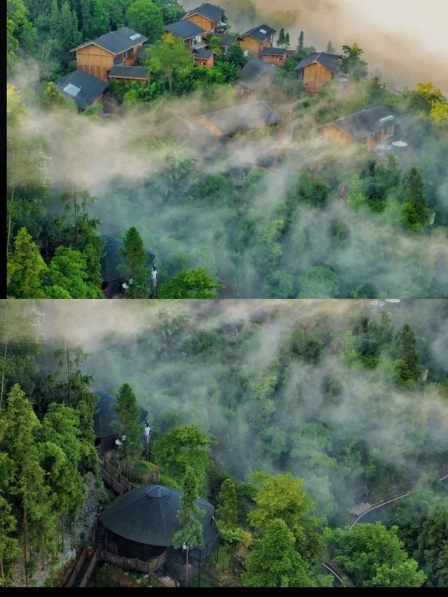 樂山！成都出發1小時！山野樹屋！超適合度假放鬆