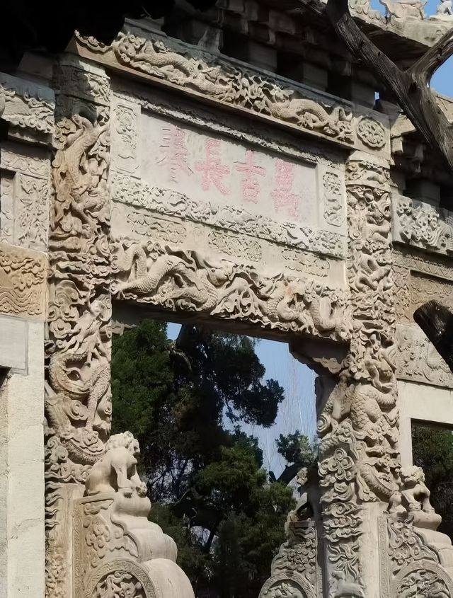 曲阜孔林！睇呢篇就夠晒！！