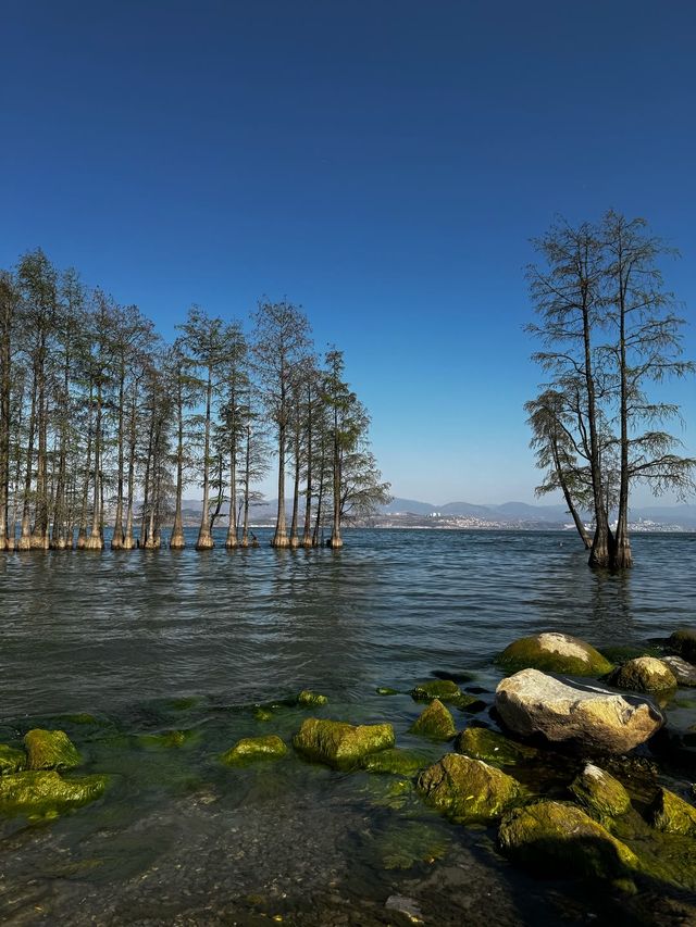 𝗗𝗮 𝗟𝗶大理·洱海「背靠蒼山，面向洱海」