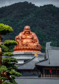 夏日遊普陀山-溪口 超實用攻略