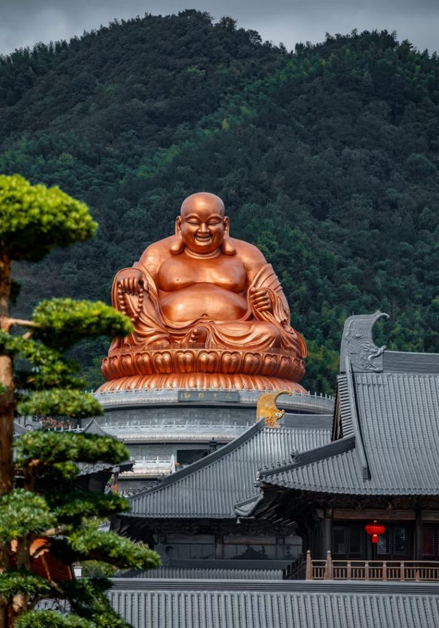 夏日遊普陀山-溪口 超實用攻略