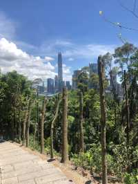 Drone Delivery In The Park, Experience The Future In Shenzhen. It’s Amazing 