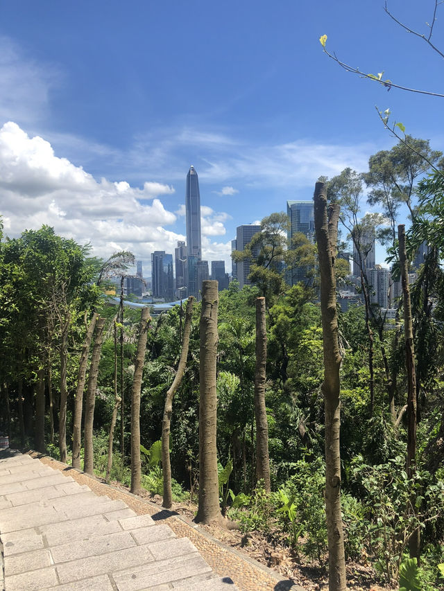 Drone Delivery In The Park, Experience The Future In Shenzhen. It’s Amazing 