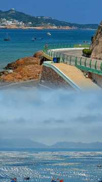 99%的人唔知！枸杞島竟然藏住一片「海上牧場」！