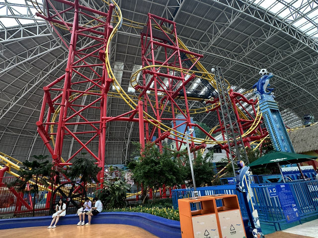 Day Trip for Rollercoasters 