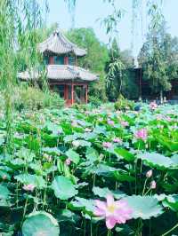 保定荷花界嘅「神仙打架」！五大秘境邊個可以封神？