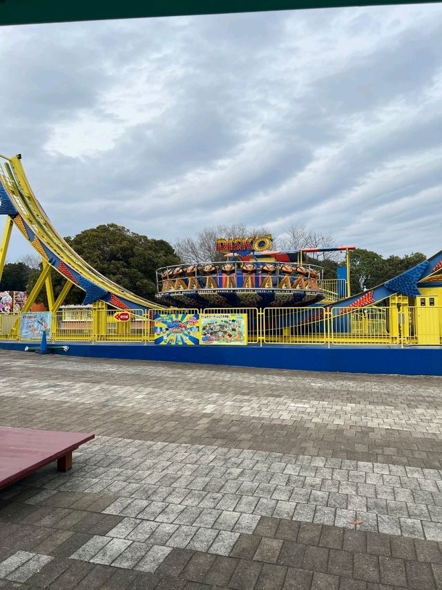 日本東京國營常陸海濱公園一日遊，賞花親子遊）🌼🎢  