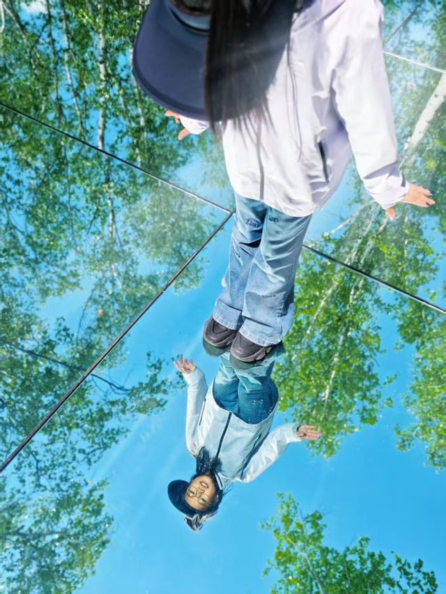 闖入北歐同款油畫秘境｜呼倫貝爾白樺林