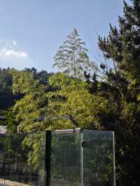 威海山居民宿雨過天晴時