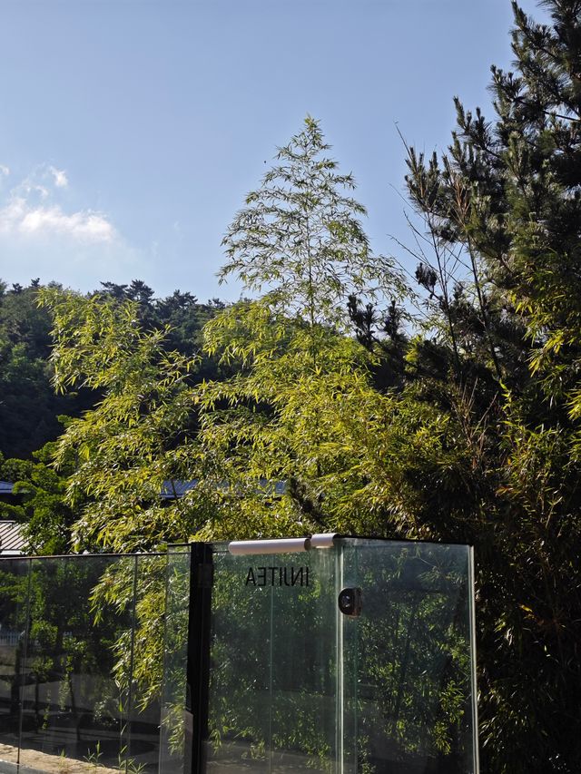 威海山居民宿雨過天晴時