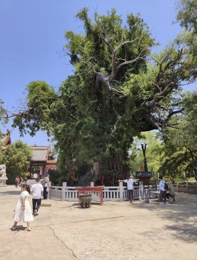 所有旅行都是出發，來到臨汾咱就是回家