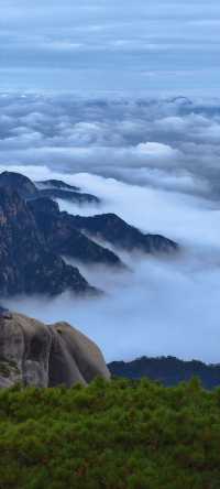 登一登黃山，睇迎客松