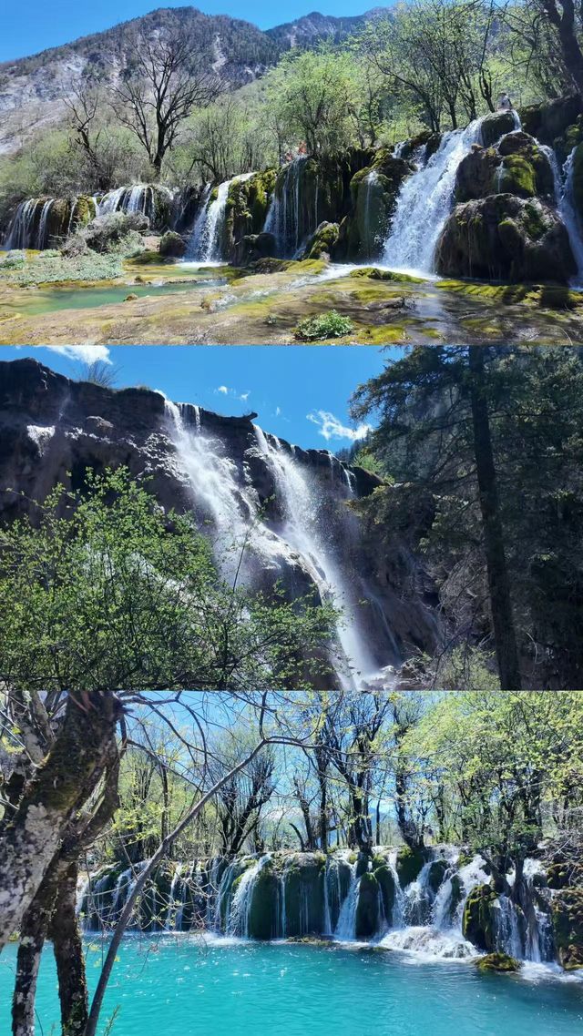 重慶→九寨溝路上的驚喜停留！都江堰億居假日酒店超暖心體驗