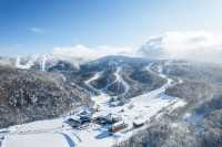 北海道滑雪天花板！Kiroro Peak