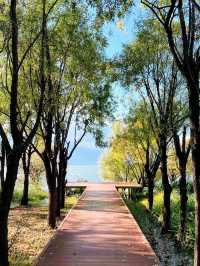 大理洱海公園