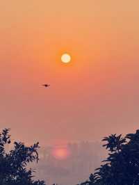 香港飛鵞山　絶景と冒険の魅力を満喫！​